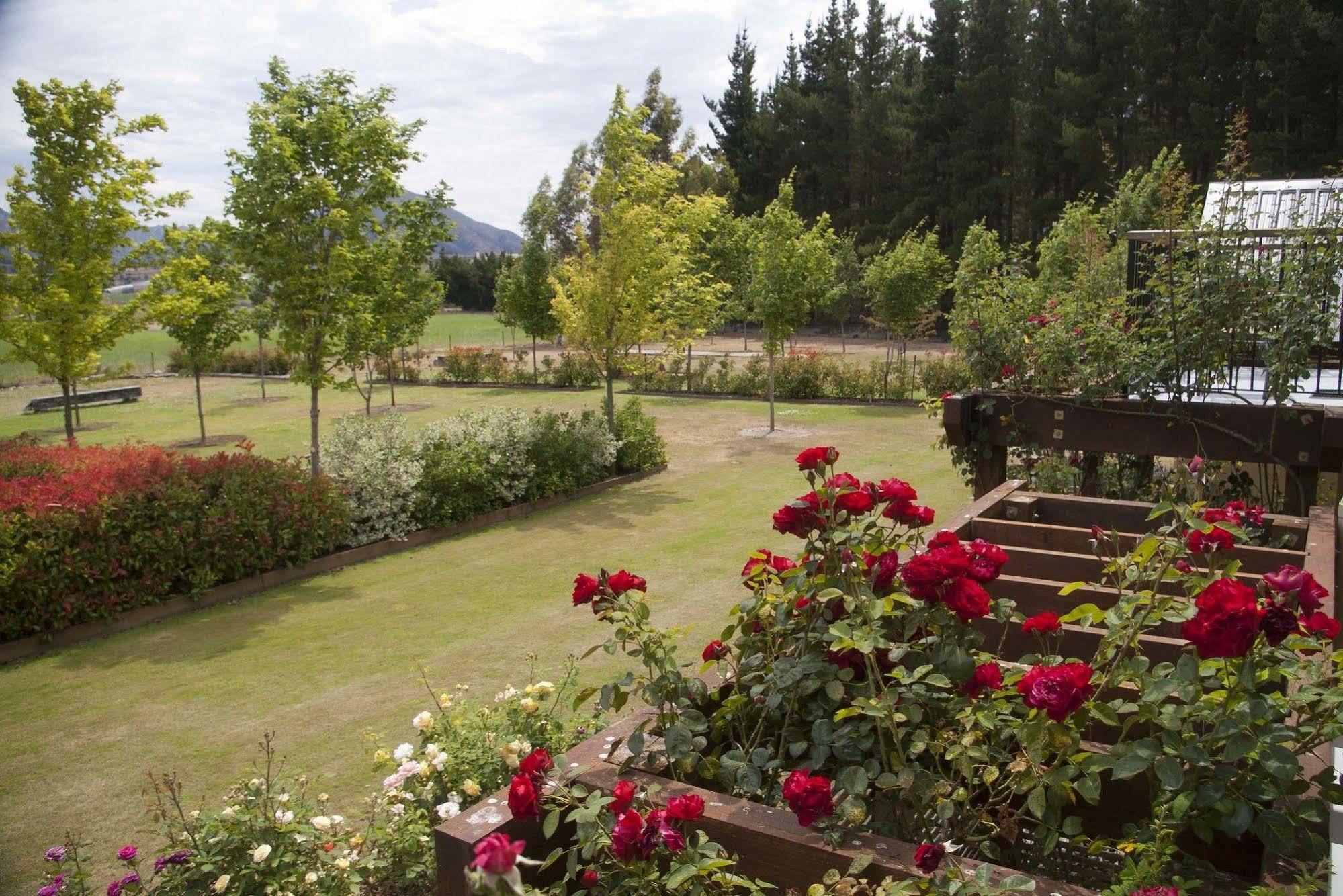 Maple Lodge Luxury Bed & Breakfast Albert Town Екстериор снимка